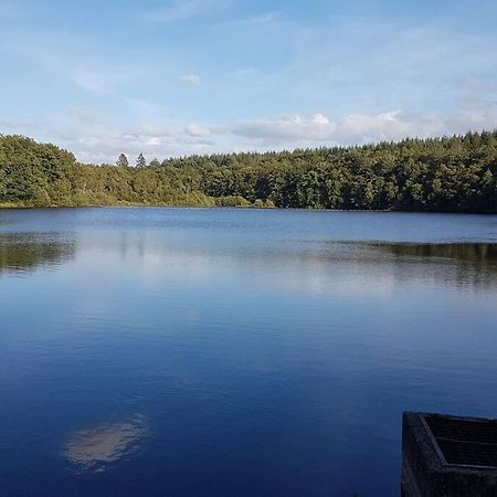 Gite N°4, En Pleine Nature, Frontalier Signy-le-Petit エクステリア 写真