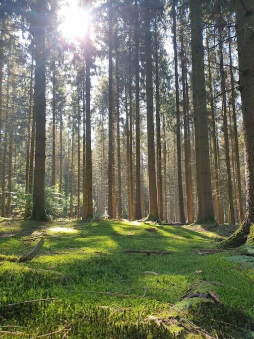 Gite N°4, En Pleine Nature, Frontalier Signy-le-Petit エクステリア 写真