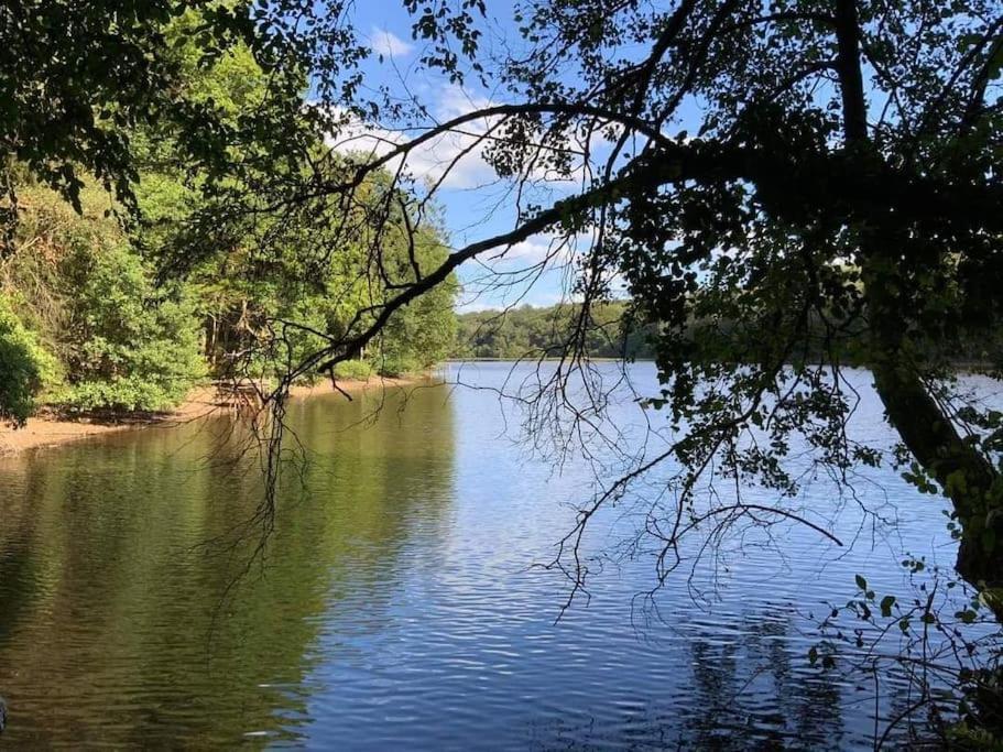 Gite N°4, En Pleine Nature, Frontalier Signy-le-Petit エクステリア 写真